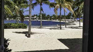 A beach with palm trees and a clear blue sky. - Stunning beachfront condo. Relax, Enjoy, Sunset, RumPoint, Pool & Heated Jacuzzi (Grand Cayman)