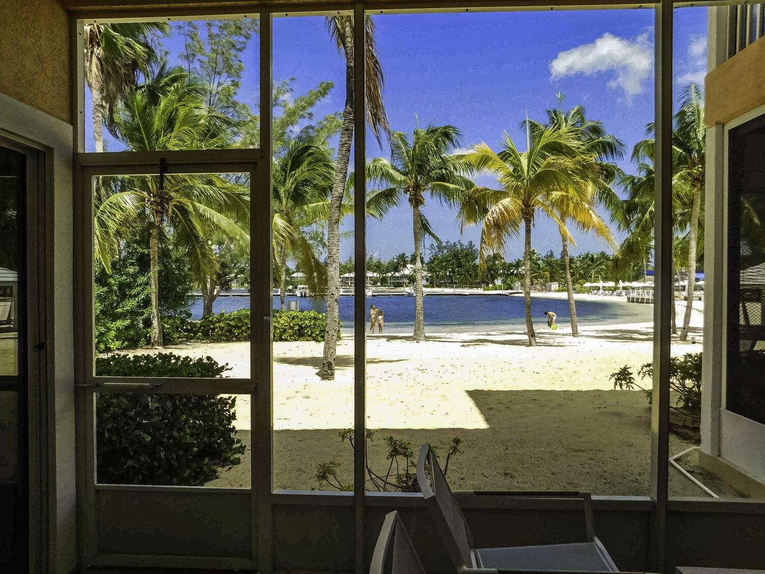 A beach view through a window with palm trees and a clear sky.