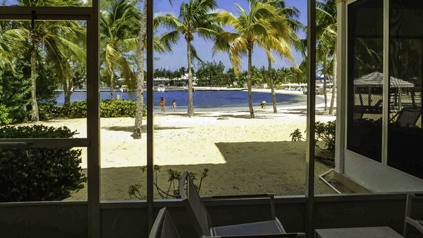 A beach view from a room with large windows, featuring palm trees, a sandy beach, and a clear blue sea. - Stunning beachfront condo. Relax, Enjoy, Sunset, RumPoint, Pool & Heated Jacuzzi (Grand Cayman)