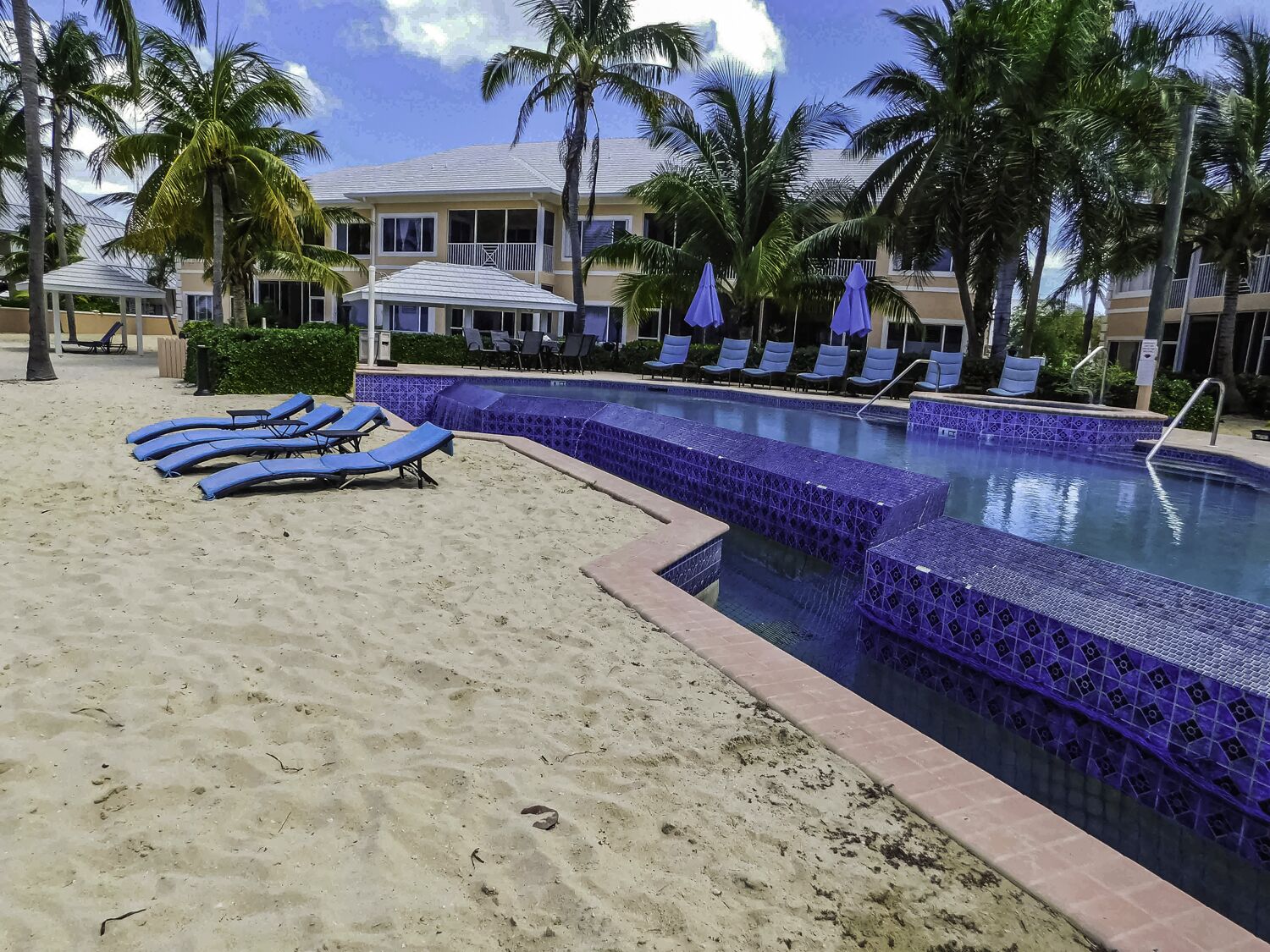 A pool area with blue lounge chairs, a tiled pool, palm trees, and a building in the background.