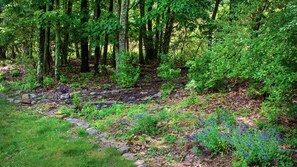 Property grounds - Summer Getaway! King Bed, Big Yard w FirePit, Patio w BBQ Grill, Ping Pong! (Mount Pocono)