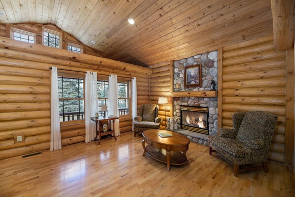 Smart TV, chimenea y libros 