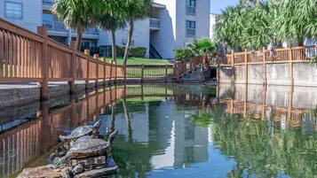 Apartment, 2 Bedrooms, Balcony, Ocean View | Property grounds