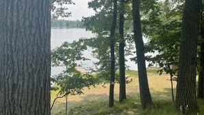 Un cadre paisible au bord du lac, avec de grands arbres et une table de pique-nique.