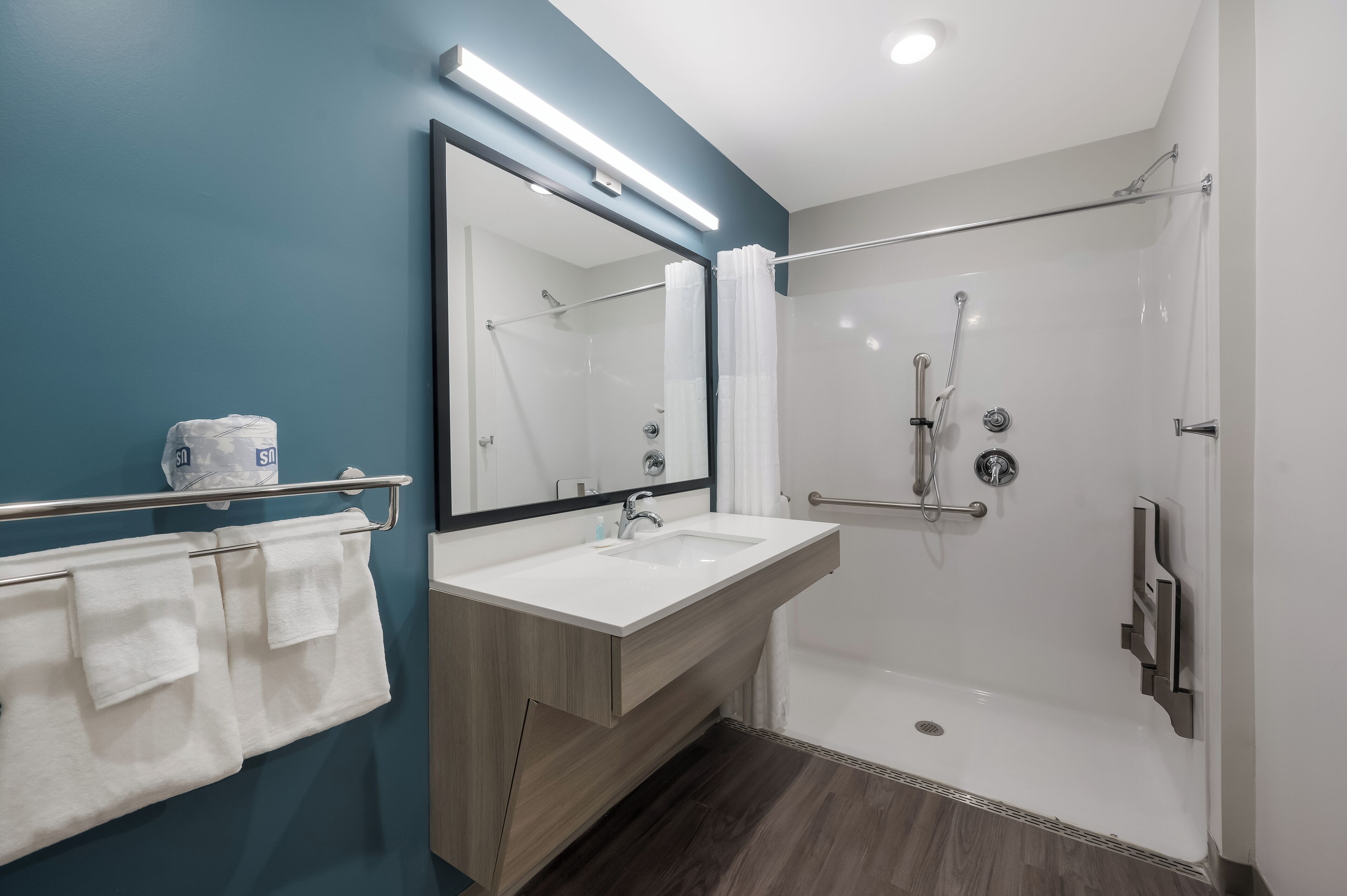 Kamar Standar, 1 Tempat Tidur Queen, Bebas Asap Rokok (Roll-In Shower) | Kamar mandi | Pengering rambut, handuk, sabun, dan sampo