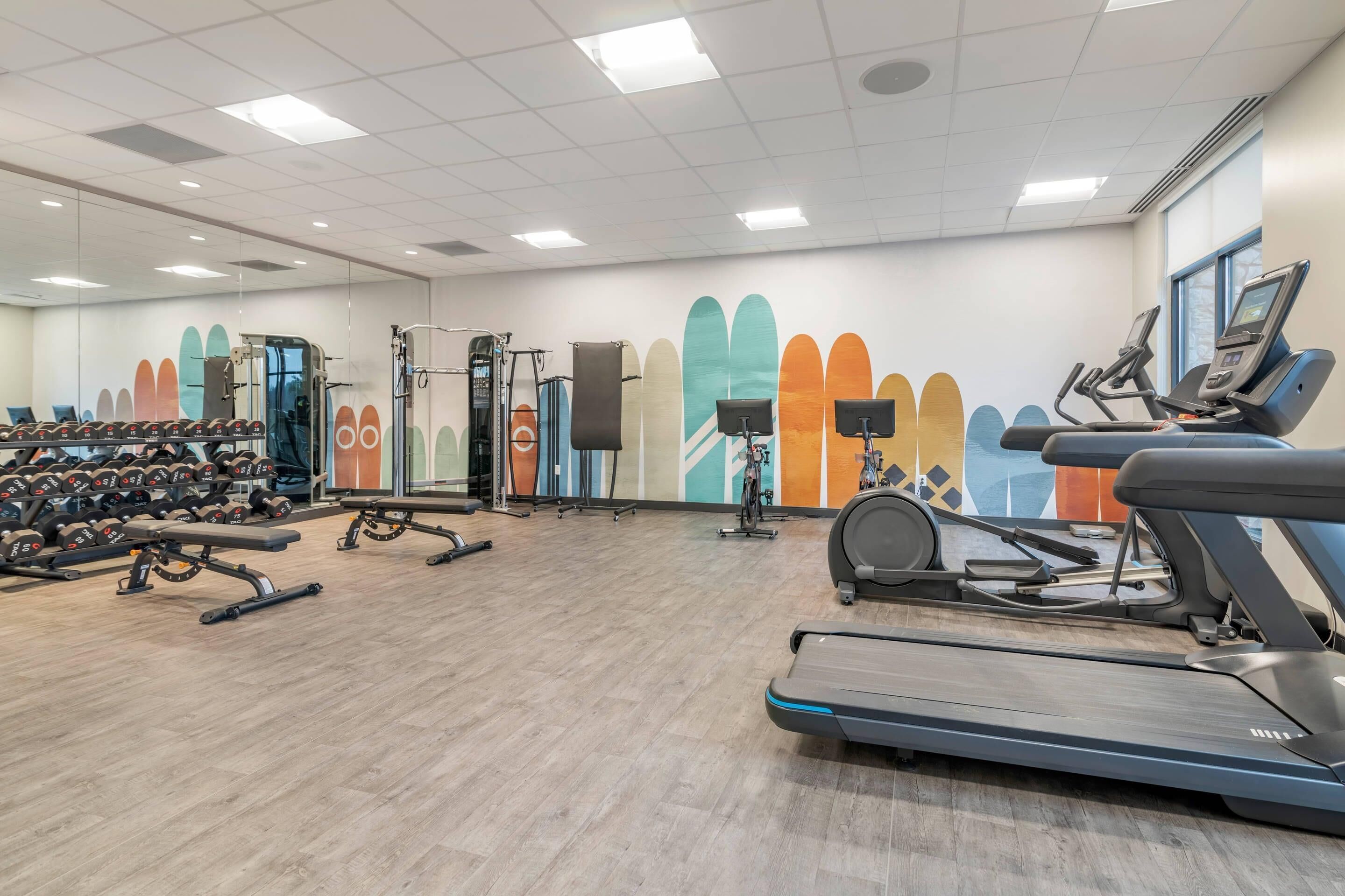 Un gimnasio con cintas de correr, máquinas de pesas y mancuernas.