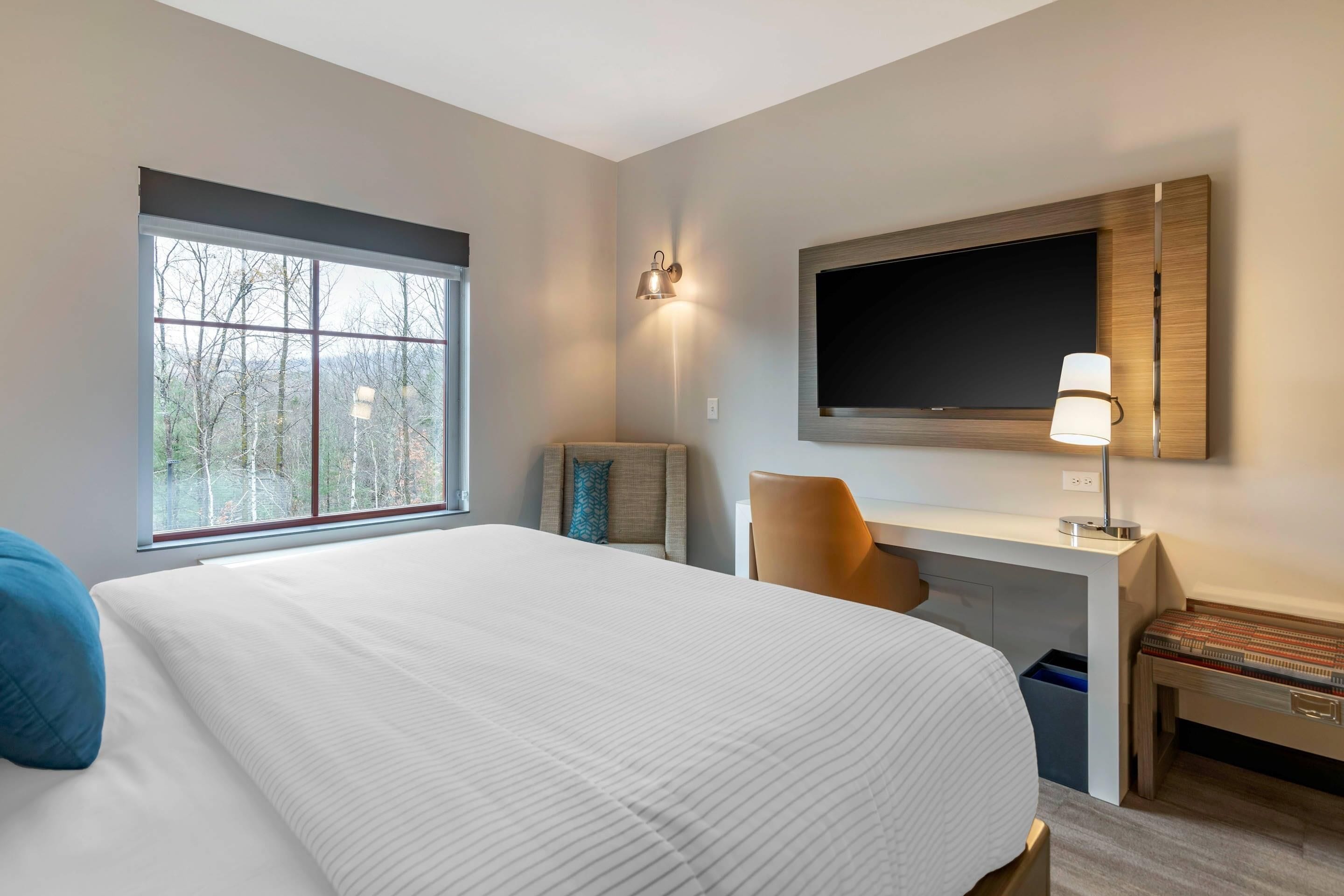 A hotel room with a large bed, a desk with a chair, a TV mounted on the wall, and a window with a view of trees.