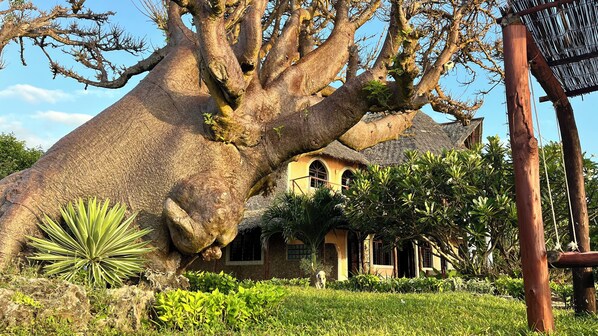 Room, 1 Bedroom, Smoking, Balcony | Exterior - Room in Guest Room - 38m2 Turtle Suite in a 560 m2 Villa, Indian Ocean View (Shimoni)