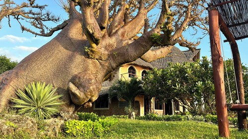 Room in Guest Room - 38m2 Turtle Suite in a 560 m2 Villa, Indian Ocean View