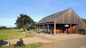 Exterior - Quaint Forest Meadow Beach House (Sea Ranch)