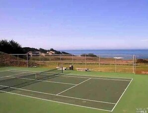 Sports court - Quaint Forest Meadow Beach House (Sea Ranch)