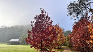 Une route de campagne bordée d’arbres aux feuilles d’automne, qui mène à une maison au toit en pente.