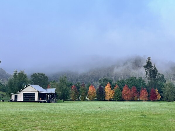 Eksteriør