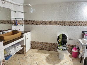 Shower, hair dryer, towels, toilet paper