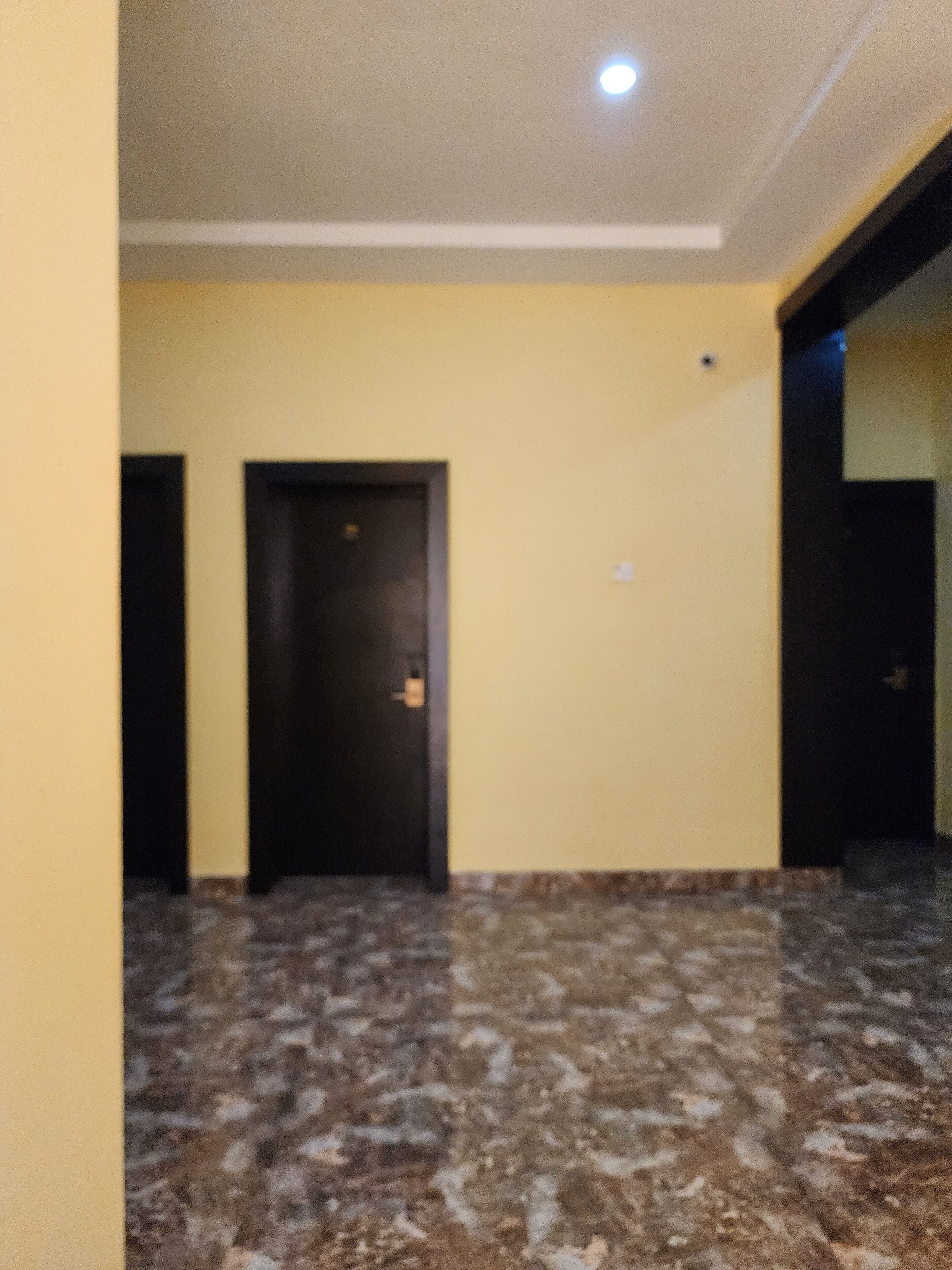 A hallway with a marble floor, a closed door, and a light fixture on the ceiling.