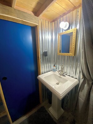 Shower, hair dryer, towels, soap - Loft in Paradise 5 miles from Nisqually entrance to Mt Rainier Longmire Paradise (Ashford)