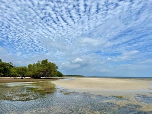 Room, 1 Bedroom, Smoking, Balcony | Beach - Room in Guest Room - Eagle Suite 38m2 in Villa 560 m2, Indian Ocean View (Shimoni)