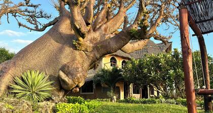 Room in Guest Room - Eagle Suite 38m2 in Villa 560 m2, Indian Ocean View