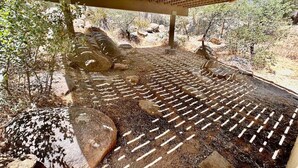 A stone pathway with a grid pattern leading to a covered area with a wooden roof. - Timber Terrace - .9 mi Downtown *pet friendly (Prescott)