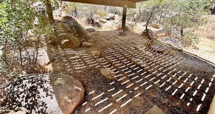 Timber Terrace - .9 mi Downtown *pet friendly