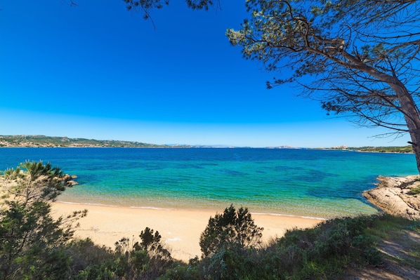 Apartment, 2 Bedrooms, Balcony | Beach