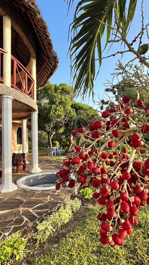 Room, 1 Bedroom, Smoking, Balcony | Property grounds - Room in Guest Room - Colobus Suite of 40m2 in Villa 560 m2, View of the Indian Ocean (Shimoni)