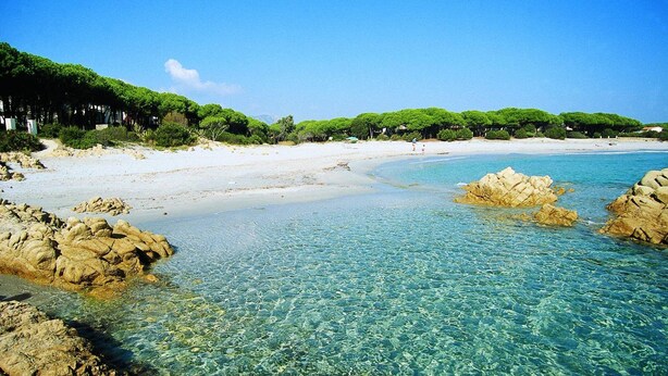 A beach with clear water, rocky formations, and green trees.