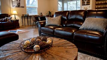 TV connectée, cheminée