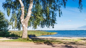 A bench by a lakeside path with a tree and grassy areas.