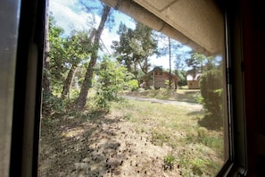 A view through a window with a mesh screen, displaying a rural landscape with trees, a wooden structure, and a clear sky.