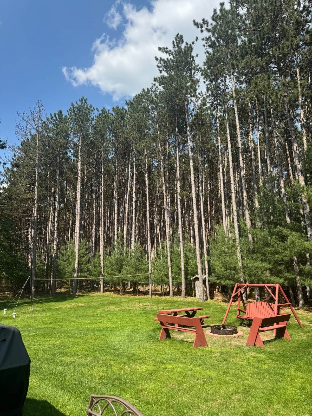 A grassy outdoor area with picnic tables and a swing set, surrounded by tall trees.
