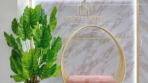 A modern interior with a hanging chair, a large potted plant, and a marble wall with a sign. - Central Suites Tower (Santo Domingo)