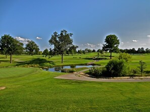 Golf - Gorgeous lodge with a view (Branson)