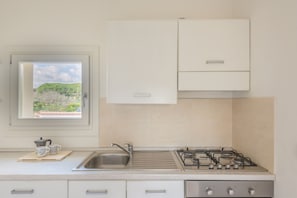 Apartment, 3 Bedrooms, Balcony | Private kitchen