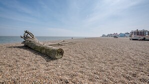 A pebbled beach with a large driftwood log, a boat, and buildings in the background. - Trehafod, Aldeburgh (Aldeburgh)