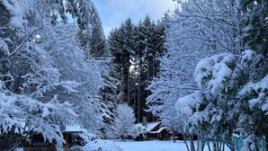 Schneebedeckte Landschaft mit einer Hütte und Bäumen.