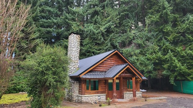 Ein kleines Blockhaus mit einem Steinofen, umgeben von dichtem Wald.