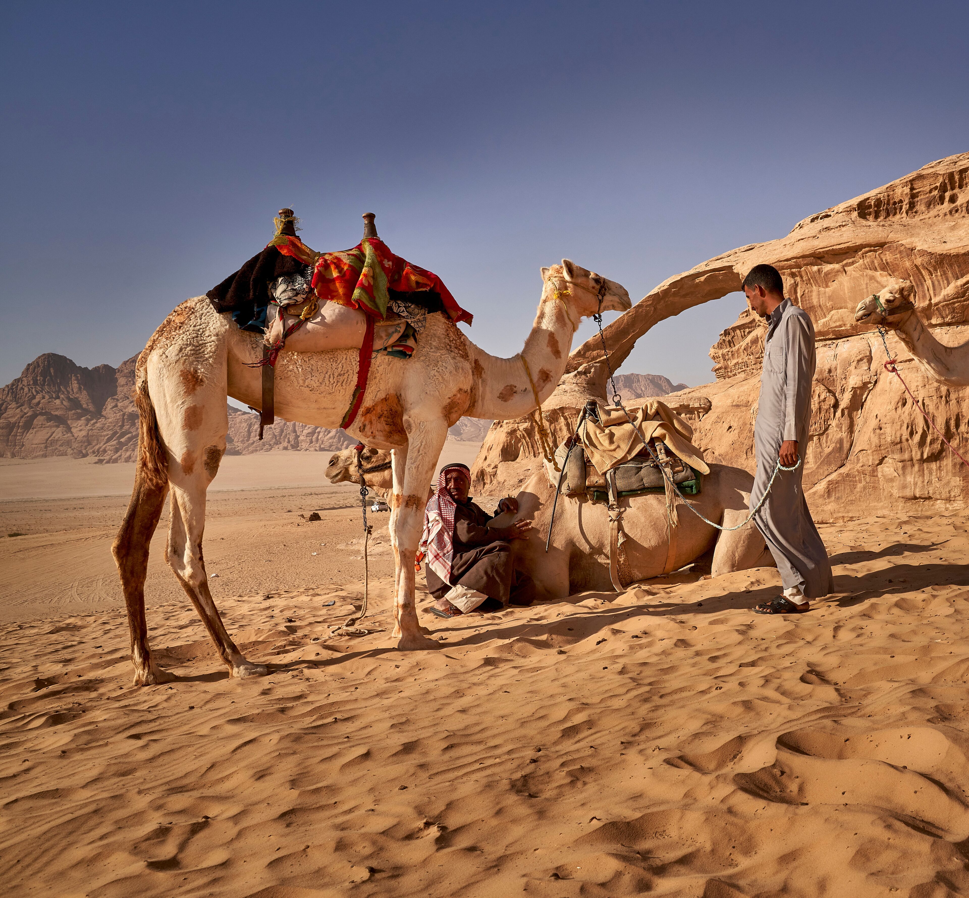 A desert landscape with camels and a person.