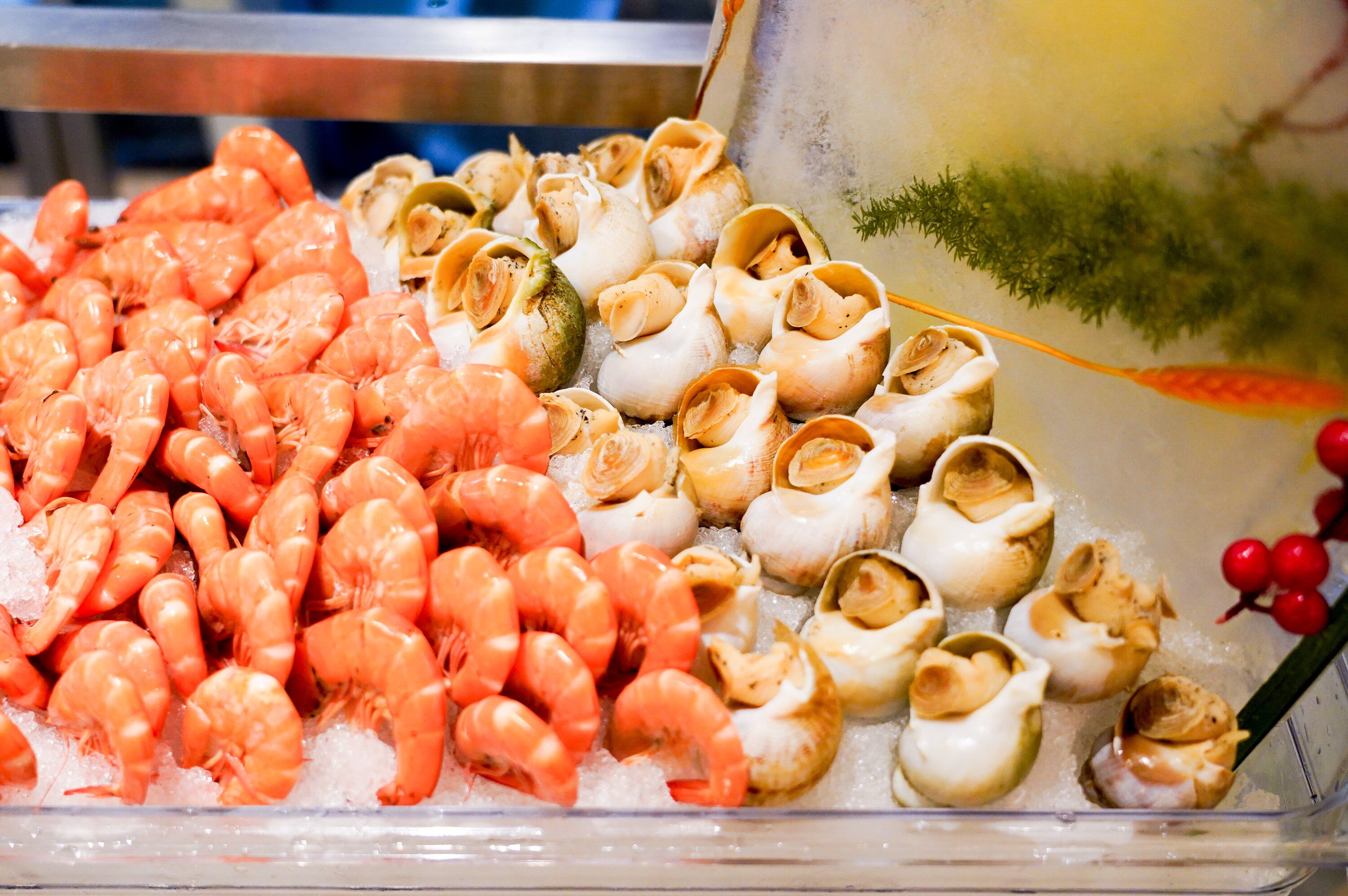A seafood display with shrimp and scallops on ice.