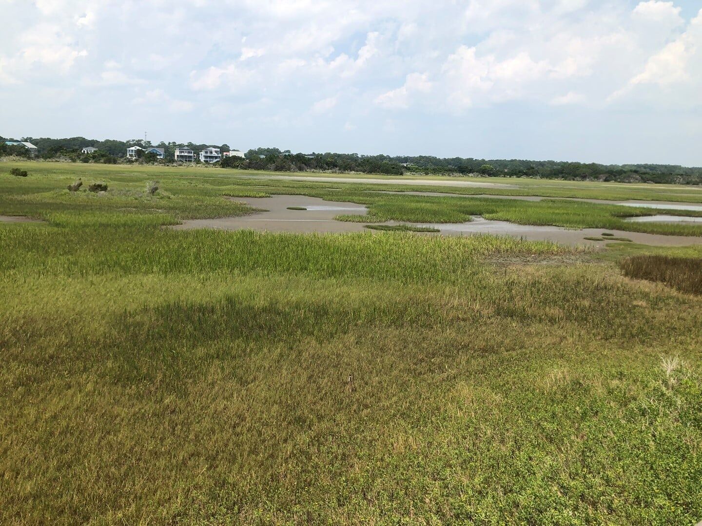A flat landscape with a series of small water bodies and patches of grass.