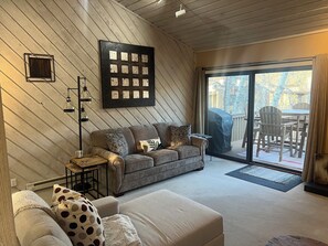 TV connectée, cheminée, lecteur de DVD