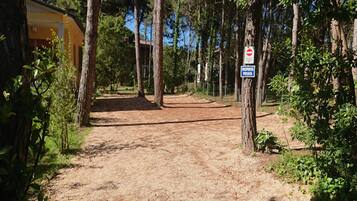 Biệt thự, 3 phòng ngủ, ban công, quang cảnh vườn | Vườn