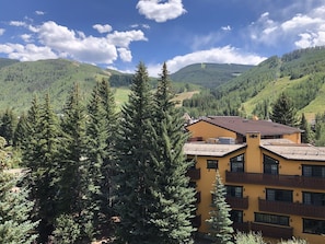 Set amidst lush evergreen trees, this building offers a serene retreat with a balcony overlooking rolling hills.