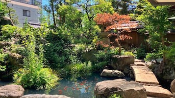 Japanese garden
