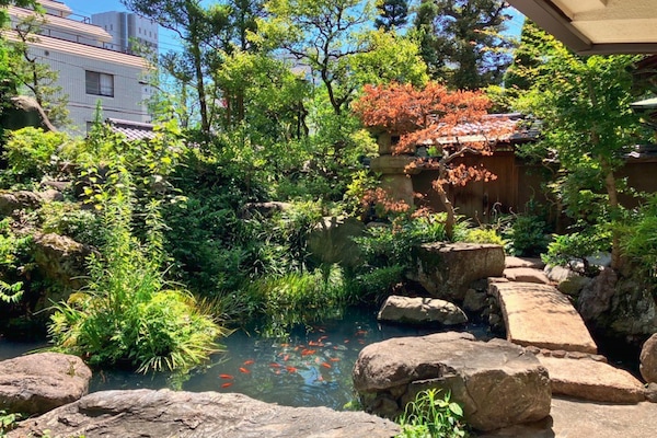 Japanese garden