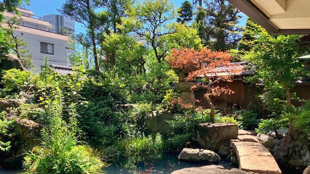 Un jardin japonais traditionnel avec un bassin à carpes koï, des rochers et une végétation luxuriante.