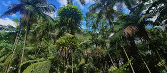 Hostel Cultural Jussara