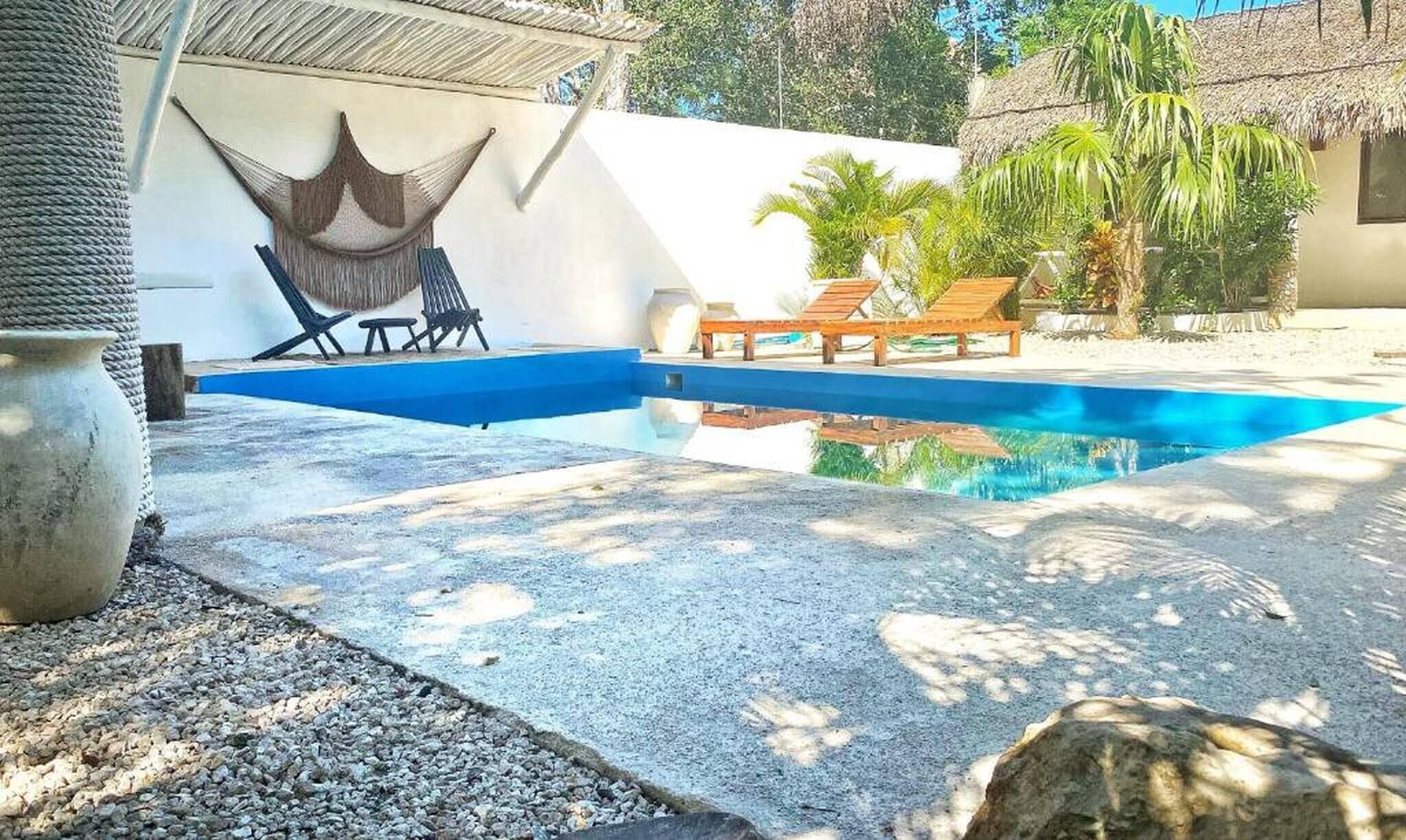 A swimming pool with lounge chairs and a bench, surrounded by greenery and a white wall.