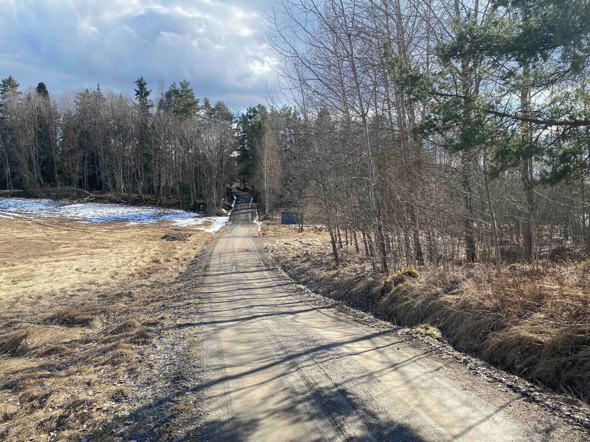 A dirt road leading through a forested area with bare trees and patches of snow.