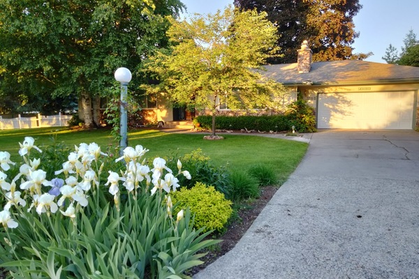Front yard in Spring season